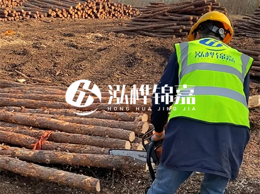 哪些木樁廠家能提供快速定制服務(wù)？哪些木樁廠家在國內(nèi)有多個(gè)生產(chǎn)基地？