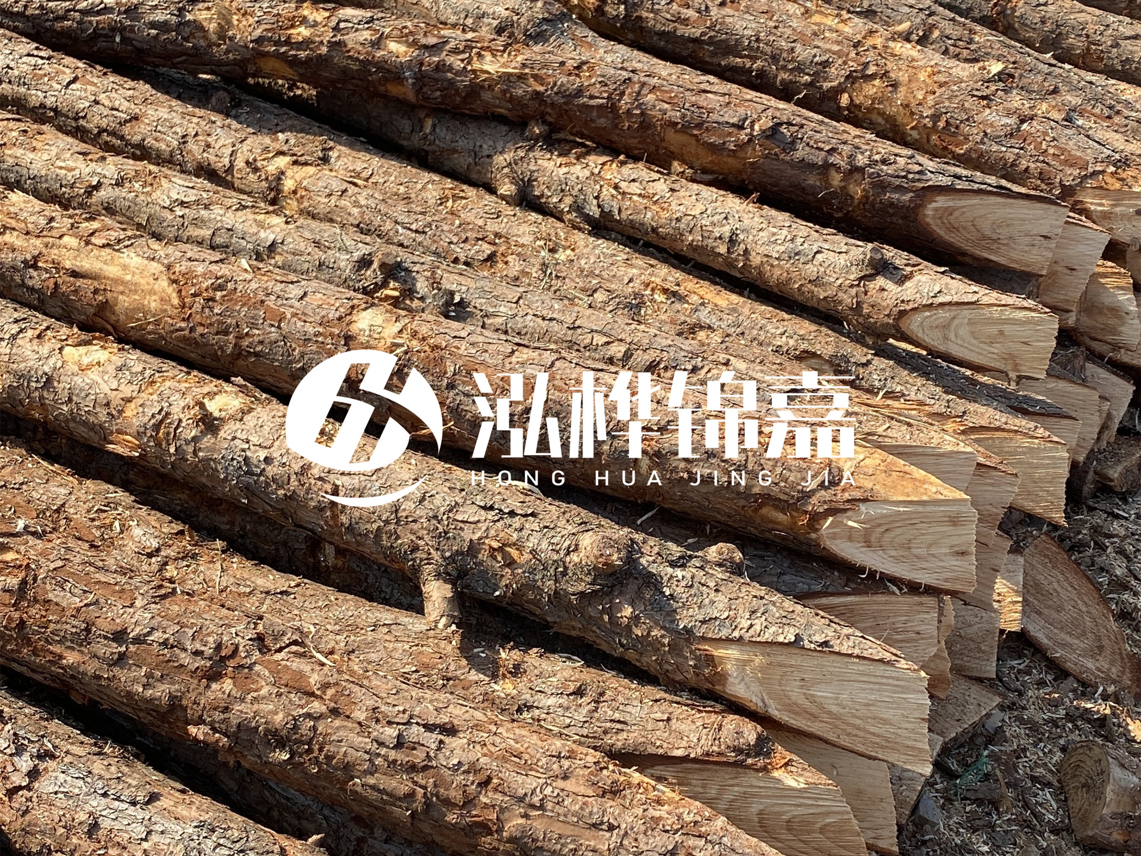 8 米超大直徑松木樁的價(jià)格是多少？帶皮和去皮松木樁價(jià)格差多少？