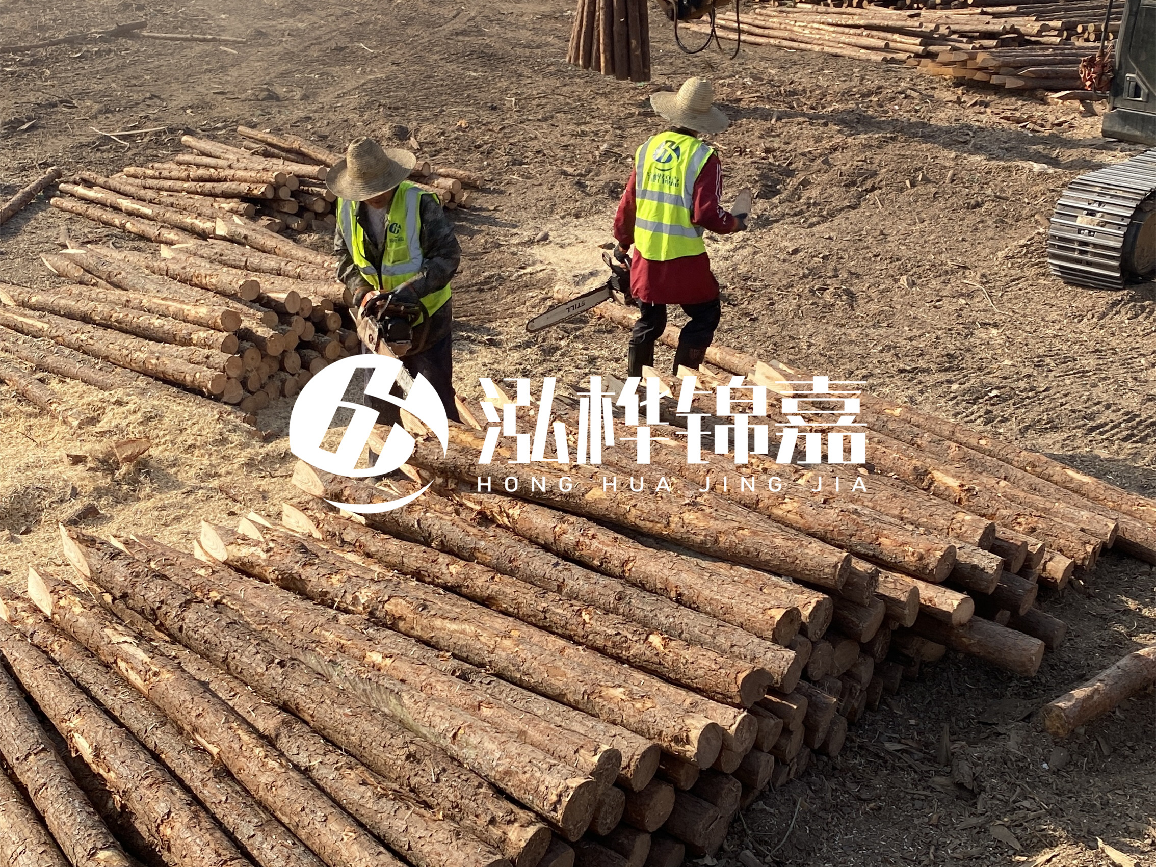 河道木樁報(bào)價(jià)在汛期前后會(huì)有波動(dòng)嗎？什么時(shí)候買(mǎi)最便宜？