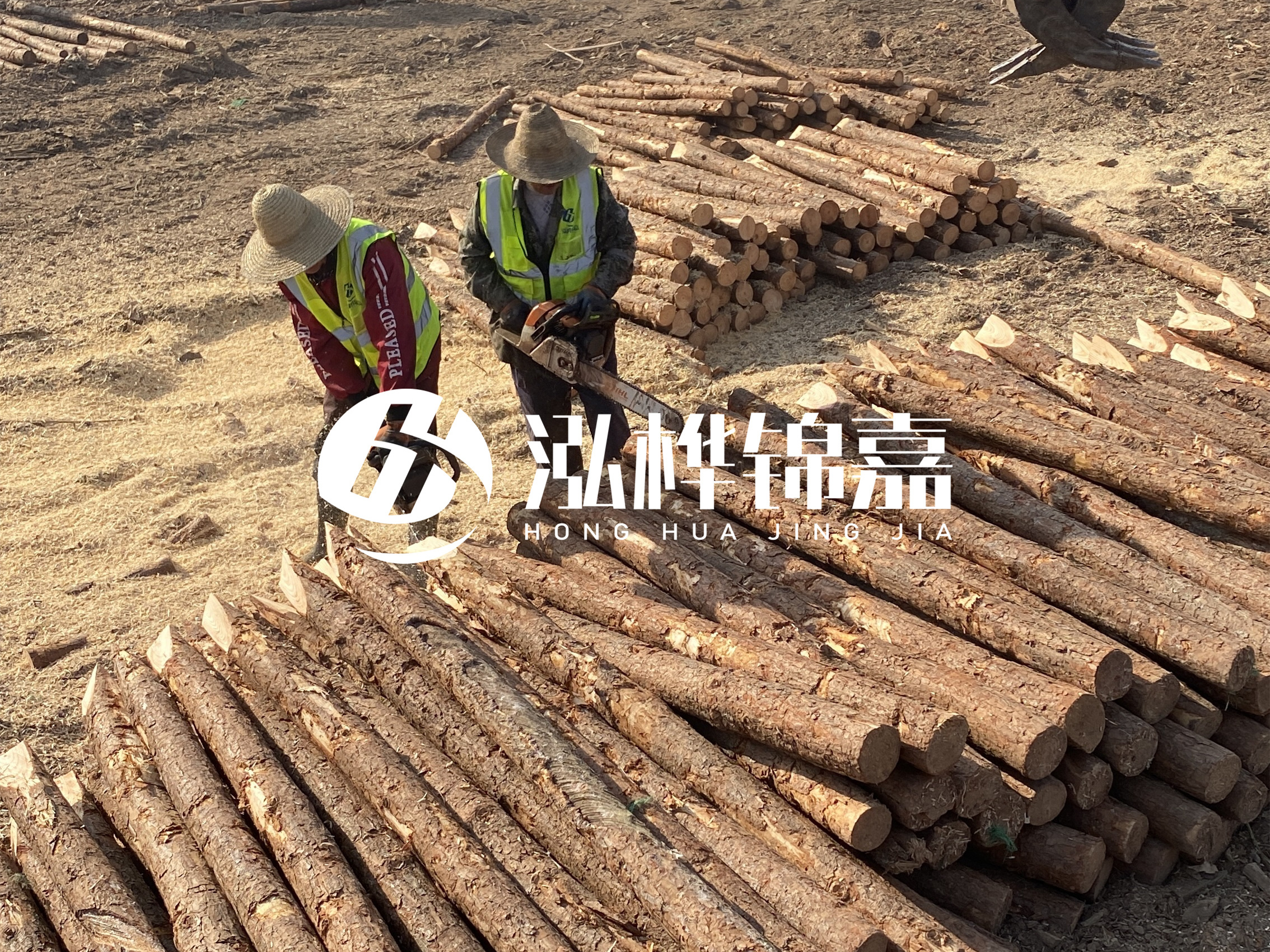 河北打樁木廠家主要生產(chǎn)哪些材質(zhì)的打樁木？產(chǎn)品有哪些規(guī)格？