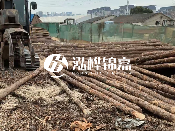 2 米長(zhǎng)度松木樁多少錢？松木樁 10 一 15 公分價(jià)格？