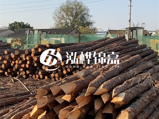 江西松木樁批發(fā)廠家泓樺錦嘉 - 松木廠家批發(fā)電話地址？