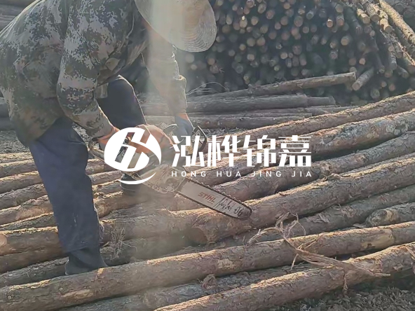 廣東打樁木源頭廠家泓樺錦嘉 - 如何選擇適合特定邊坡的松木樁？