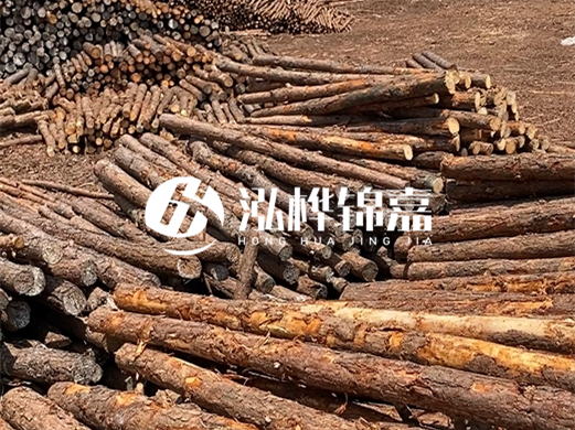 浙江打樁木源頭廠家泓樺錦嘉-松木廠家批發(fā)電話地址？