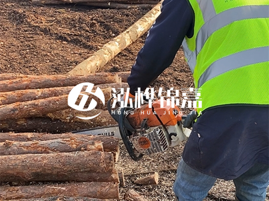 河道打木樁多少錢一根？5米直徑10松木樁打樁多少錢？