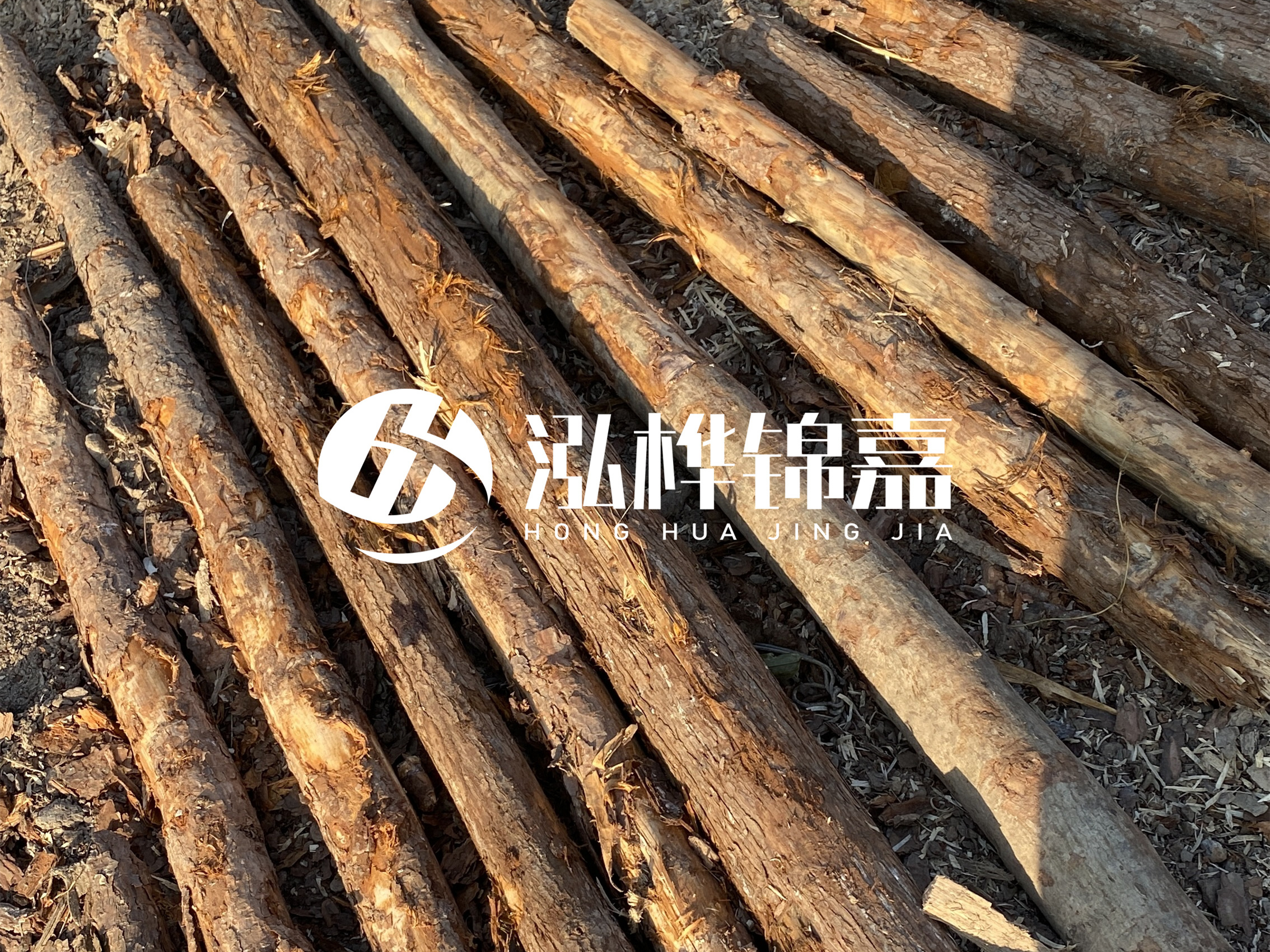 河道木樁多少錢一根？河道木樁的使用以及保養(yǎng)方法?