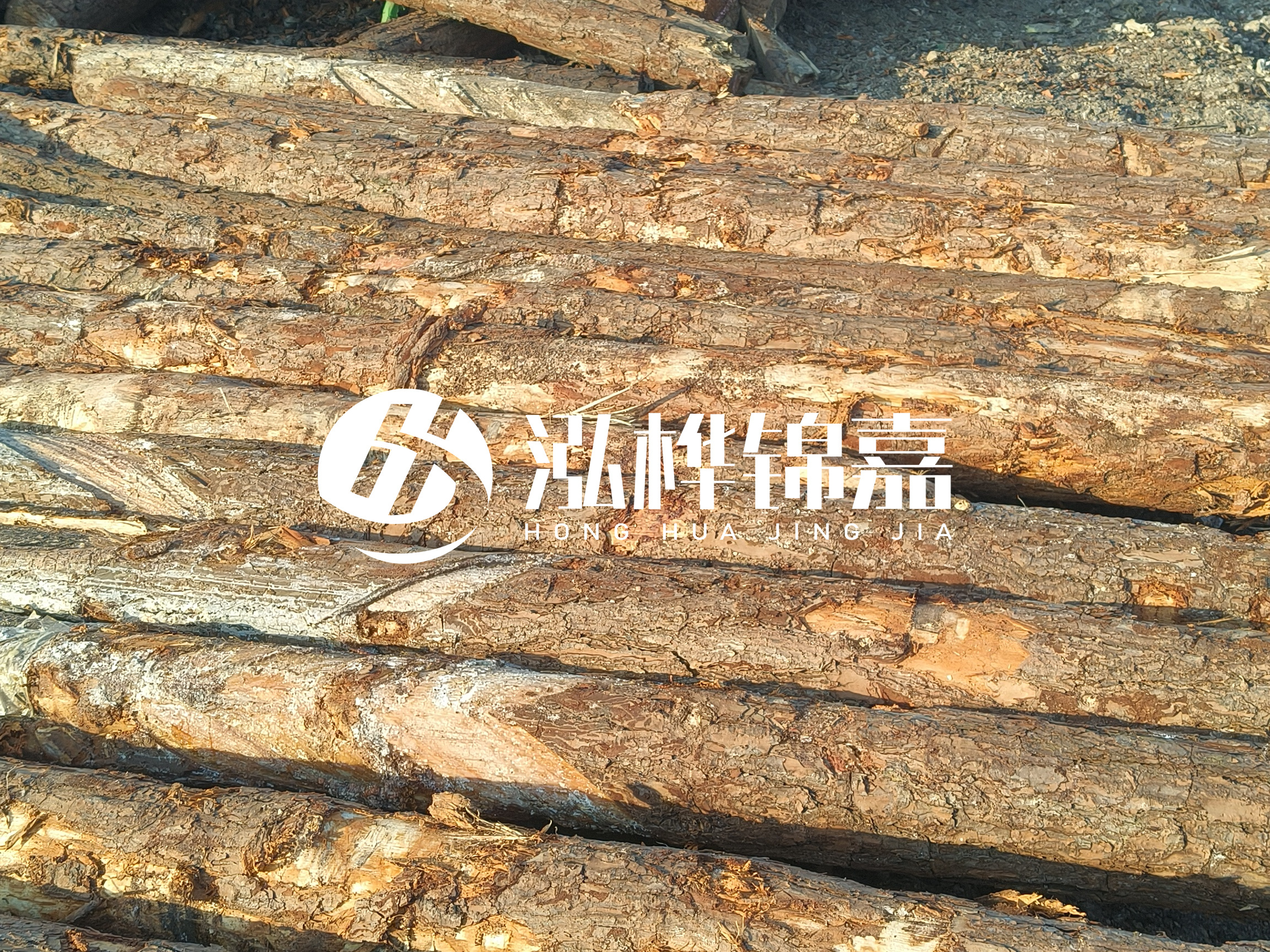 河道木樁的含水率過高會(huì)有什么問題？怎么檢查松木樁含水率？