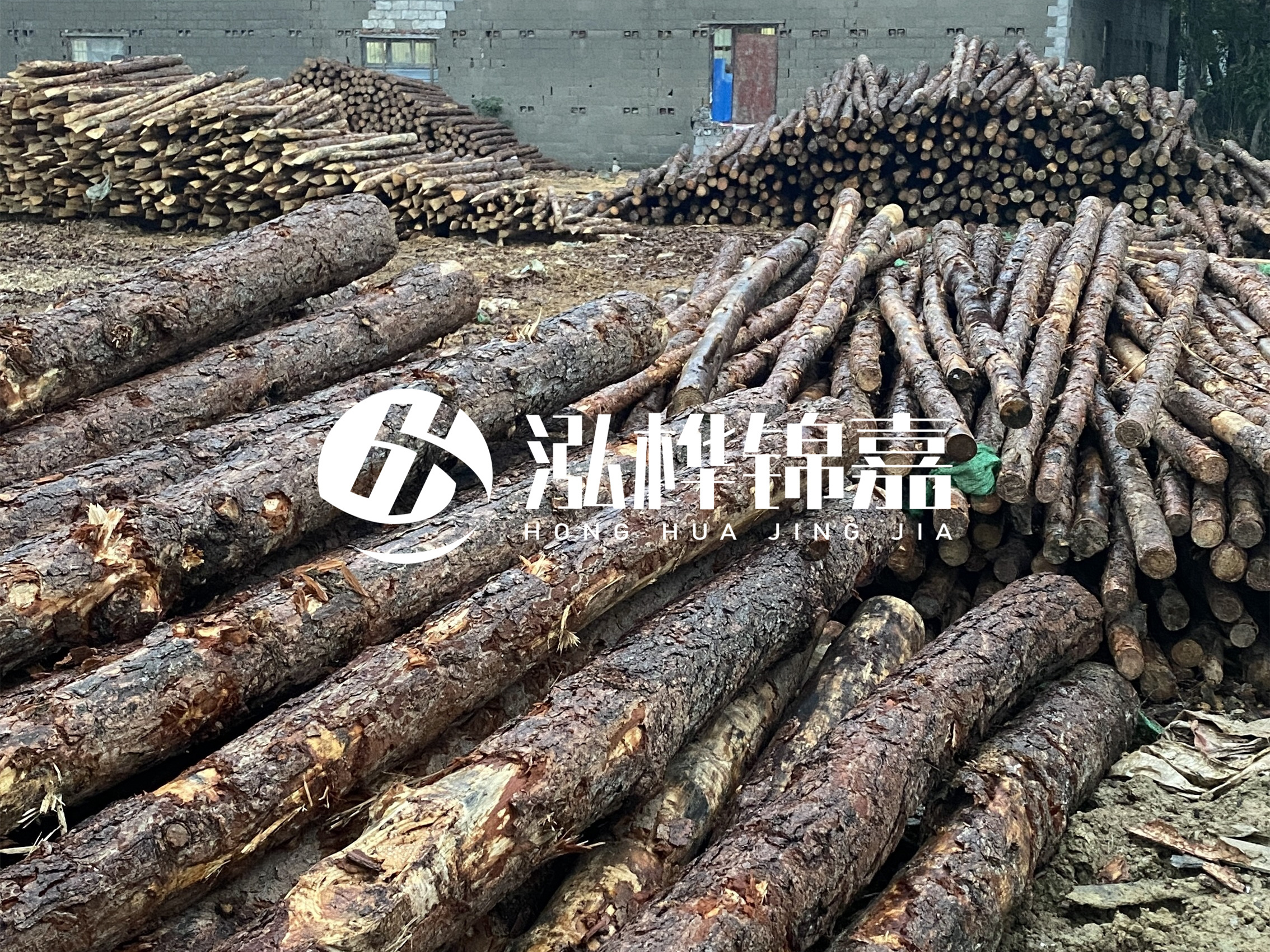松木樁批發(fā)廠家泓樺錦嘉 - 河道松木樁如何選擇優(yōu)質(zhì)木材？