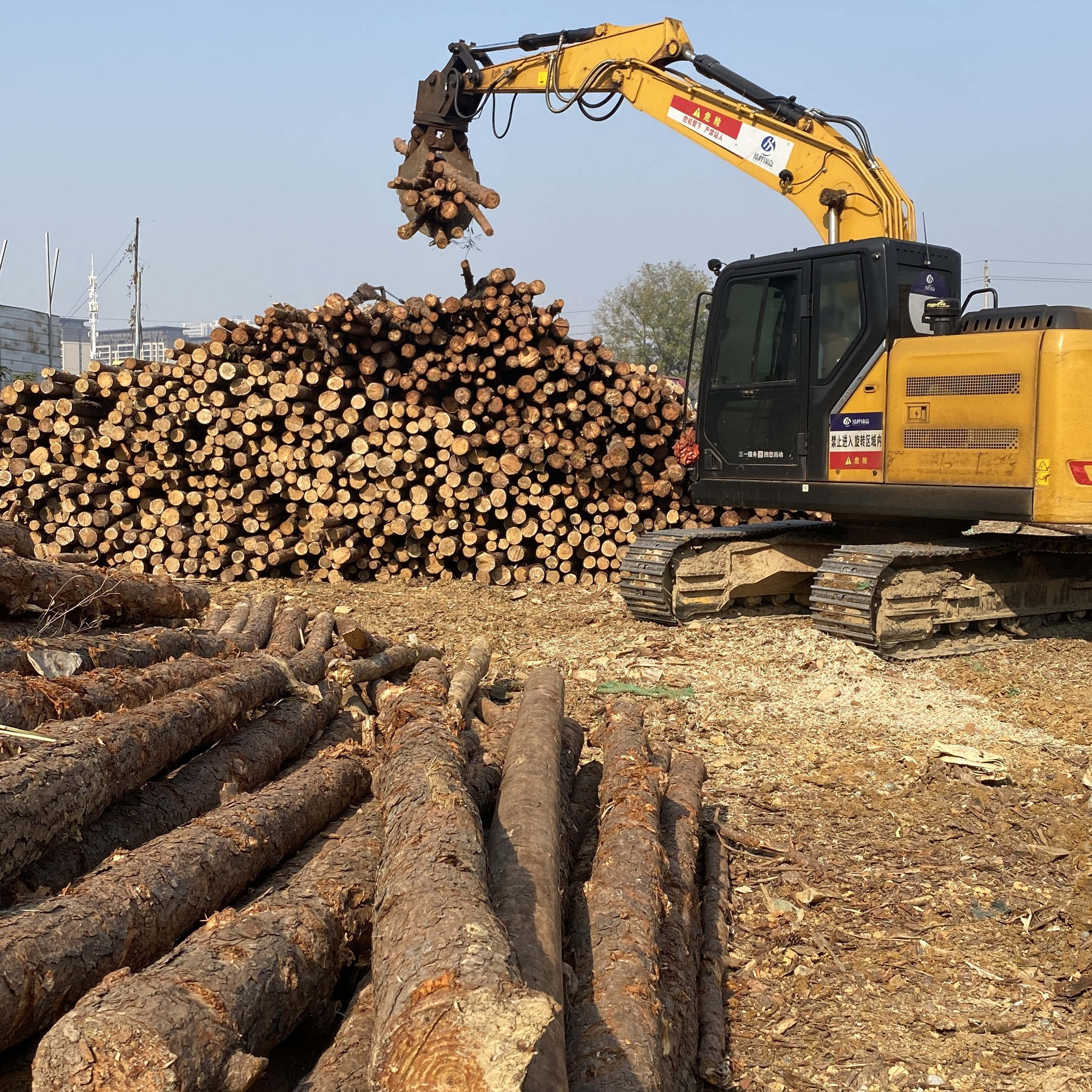 松木樁廠家泓樺錦嘉-濕地松原木的價格大概是多少？