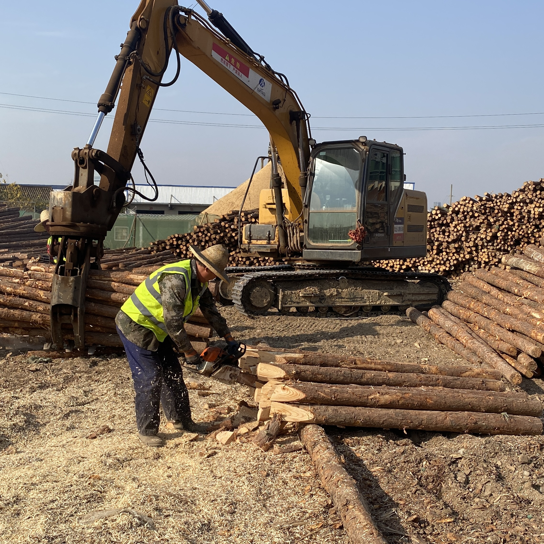 松木樁廠家泓樺錦嘉-工程打樁木選擇落葉松還是濕地松更耐腐蝕？