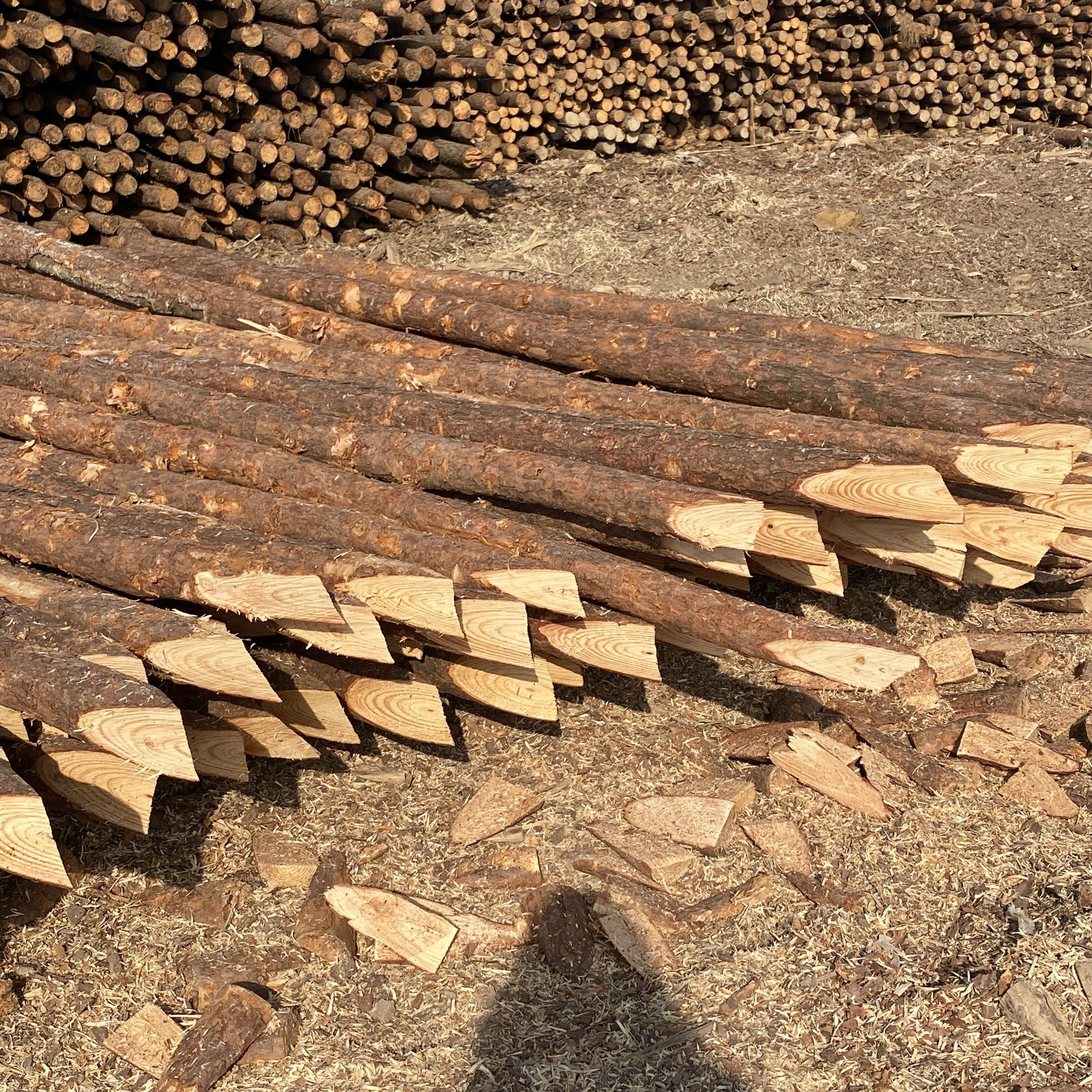 松木樁施工隊(duì)泓樺錦嘉-樁與樁之間的距離要求？