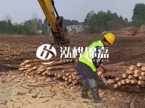 松木樁施工隊(duì)泓樺錦嘉 - 松木打樁在水里管幾年？