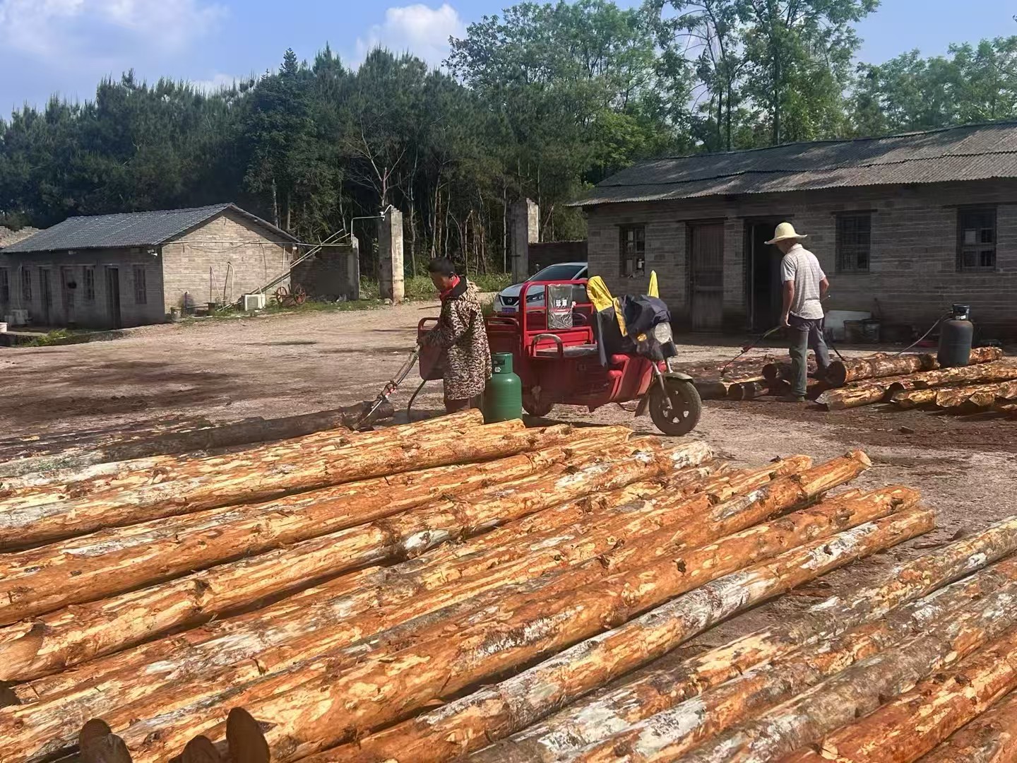 松木樁施工隊(duì)泓樺錦嘉 - 建房子地基打木樁靠譜嗎？