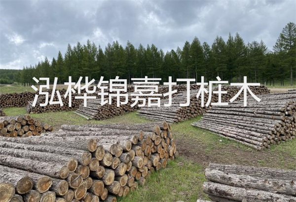 預(yù)制松木樁施工工藝：優(yōu)質(zhì)材料，高效快速，堅(jiān)固耐用