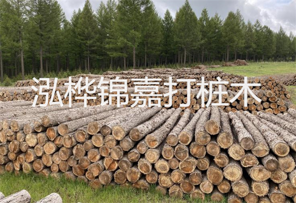 松木樁能施工嗎？探究視頻揭秘真相！