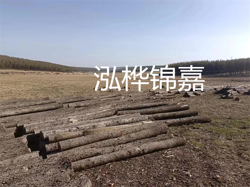 鄂州松木樁哪里好？推薦泓樺錦嘉松木樁業(yè)！